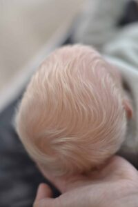 BEBÉS REBORN PATRICIA GAMEZ✨💗🐣 | Creativa Barcelona