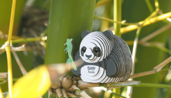 1800x1030-Agenda-digital-2025-10-25T202312.026-1