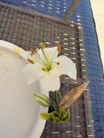 34fad269-0bc3-44d4-b61b-e54bc1f501a6