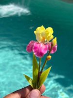 8d502946-697d-44c2-9ac5-00660014e484