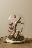 PHOTO-2025-10-12-11-12-42