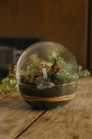 PHOTO-2025-10-12-11-12-42_3