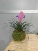 PHOTO-2025-10-12-11-12-43_3